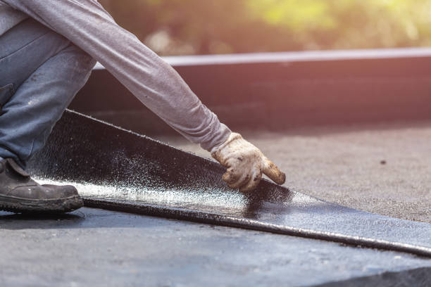 Professional Interior Drainage System technician working in Larwill, IN